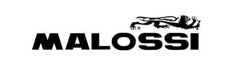 Malossi équipe les mobylettes au fil des générations
