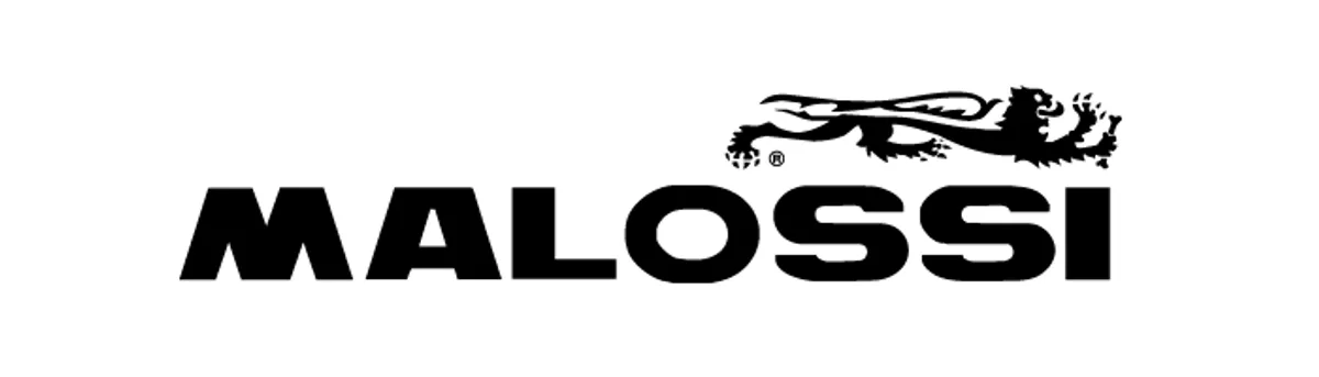 Malossi équipe les mobylettes au fil des générations