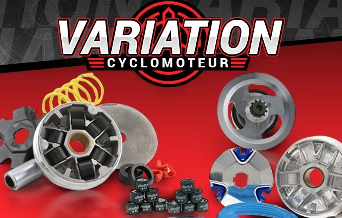 Toutes vos pièces de variation de cyclo sur Maxiscoot
