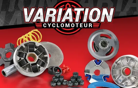 Toutes vos pièces de variation de cyclo sur Maxiscoot